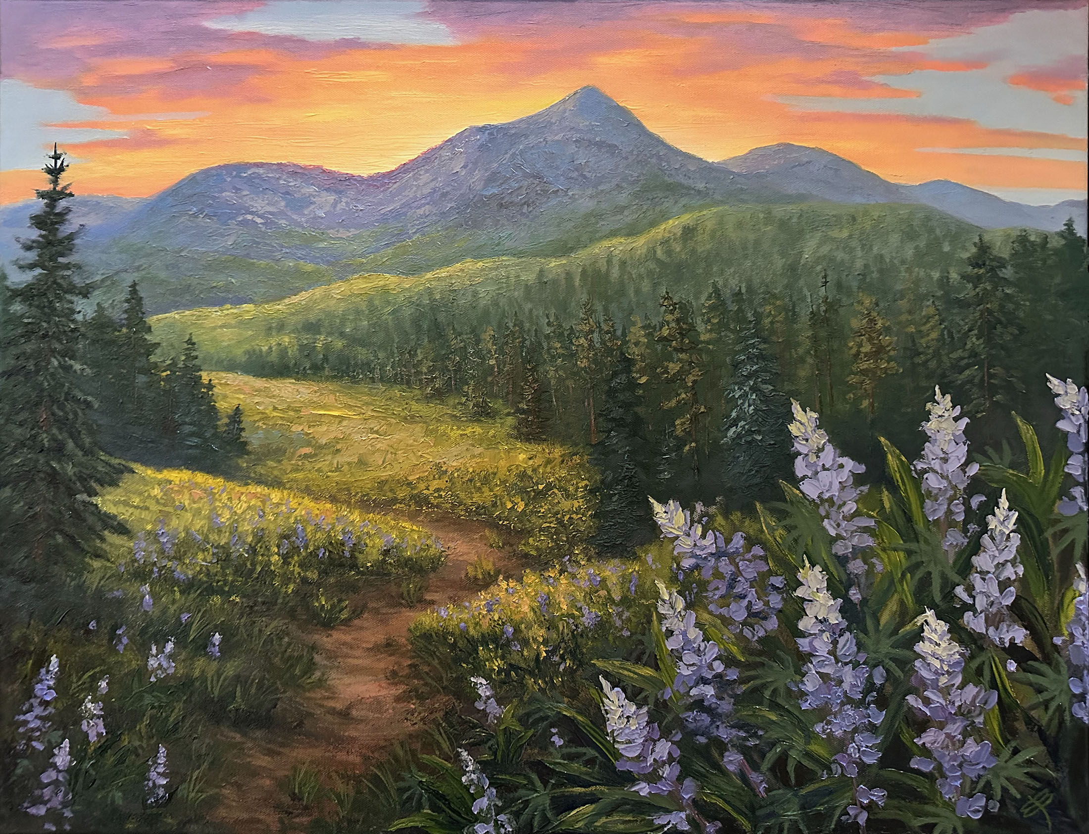landscape oil painting of sunset over the mountains with lupine flowers blooming in a grassy meadow colorful art for sale