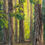 Thumbnail: landscape oil painting of western red cedar trees in glacier national park Montana colorful artwork for sale