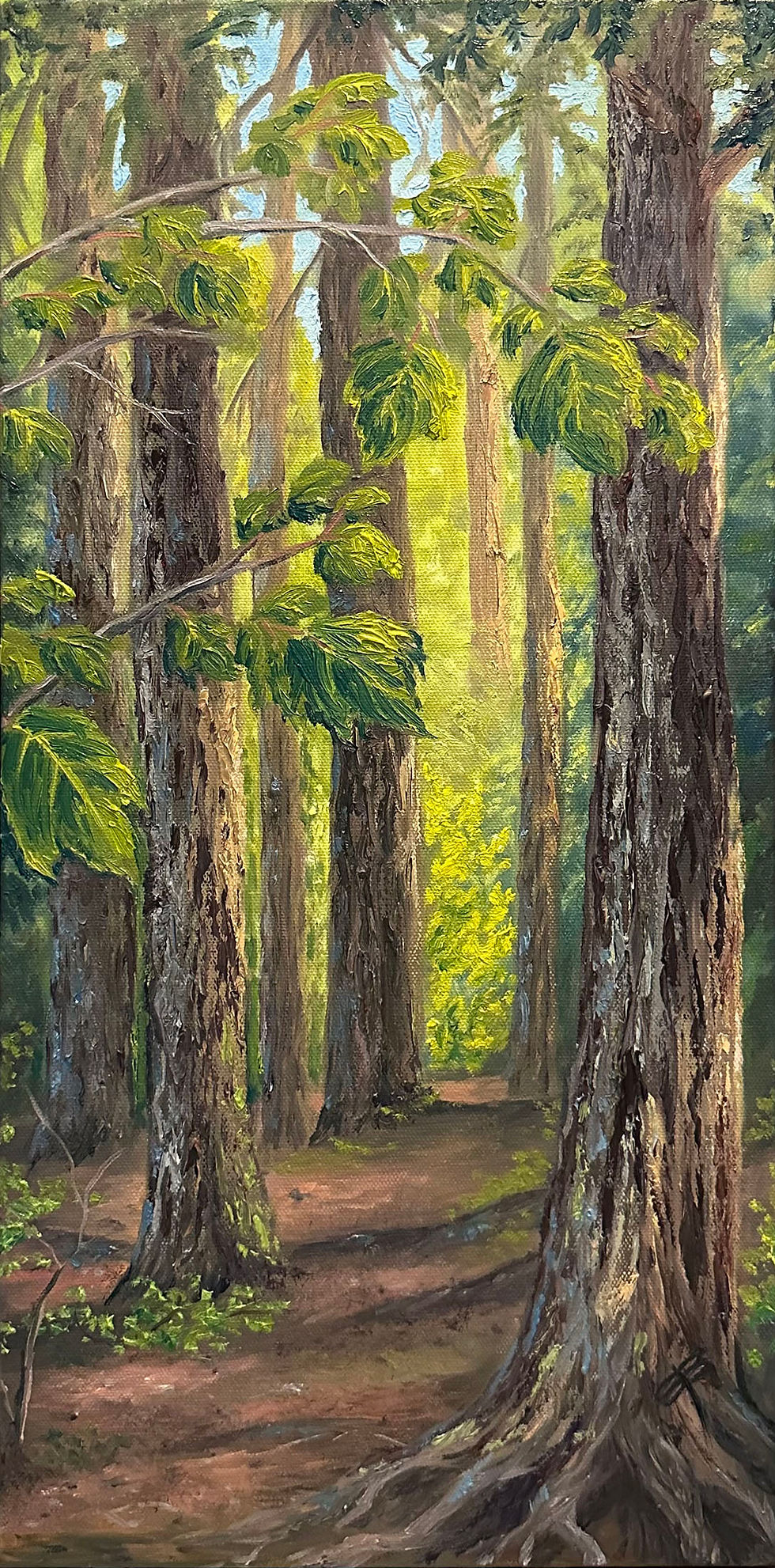 landscape oil painting of western red cedar trees in glacier national park Montana colorful artwork for sale