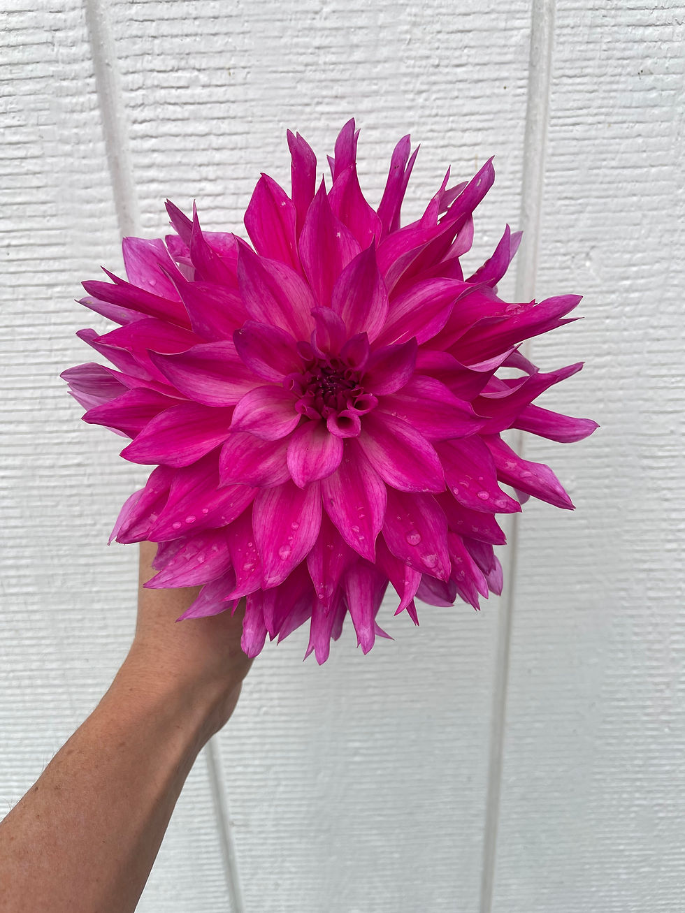 Thumbnail: I'm A Hottie