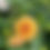 Thumbnail: Crichton Honey