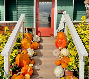 IMG_2545 (2)_edited.png