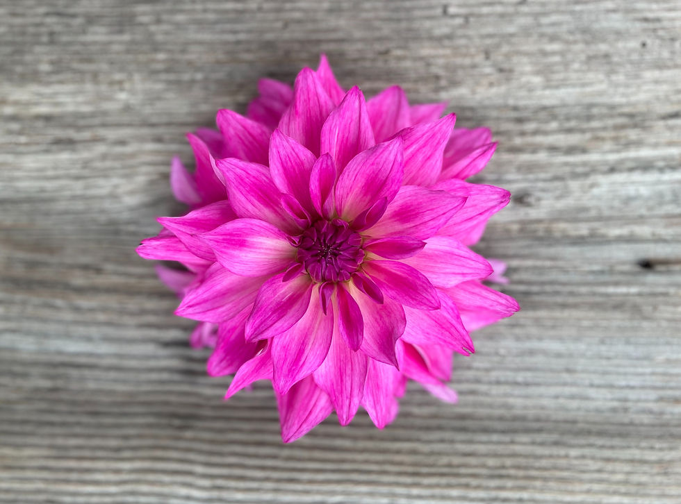 Thumbnail: I'm A Hottie