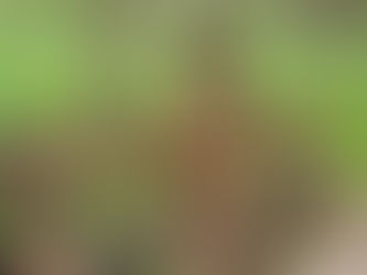 Mein Jakobsweg - ...was habe ich mir dabei bloß gedacht Part 02