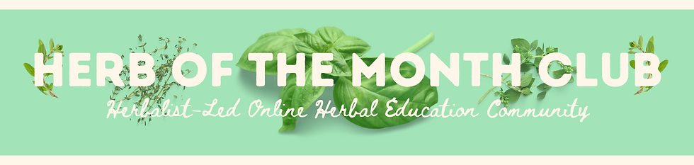 east bay herbals herb of the month club