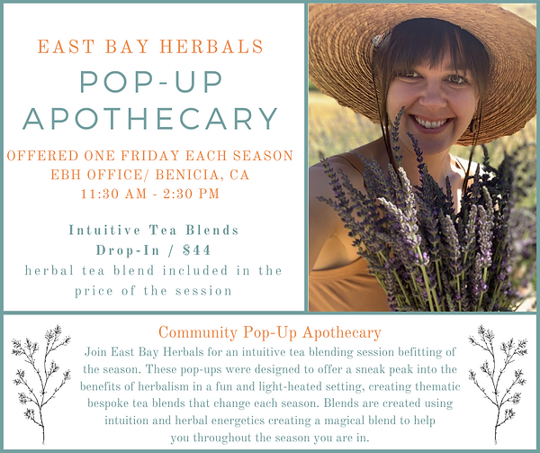 POPUP APOTH NO DATE.png