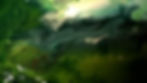 Carl Hodges Art GREENS AND GREENS #1