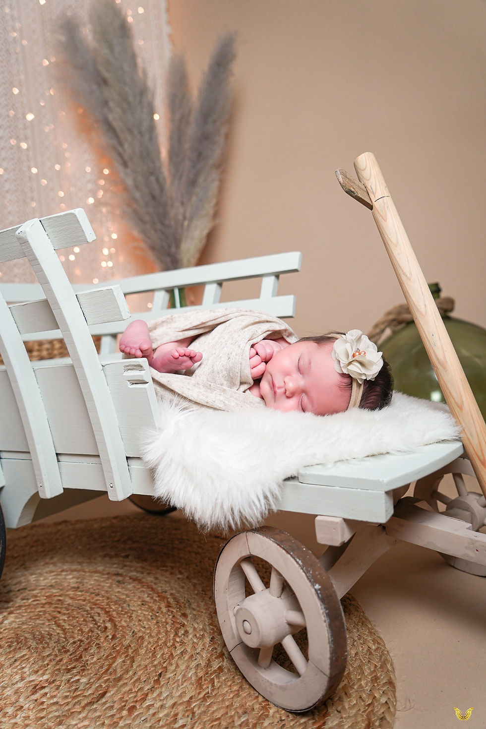 Miniature : Shooting Naissance 1heure + emmaillotage + toutes les photos de la séance