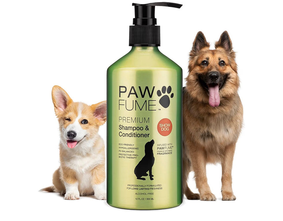 Thumbnail: PAWFUME Deshedding Dog Shampoo and Conditioner, Show Dog, 1-Pack – Nourish & Det