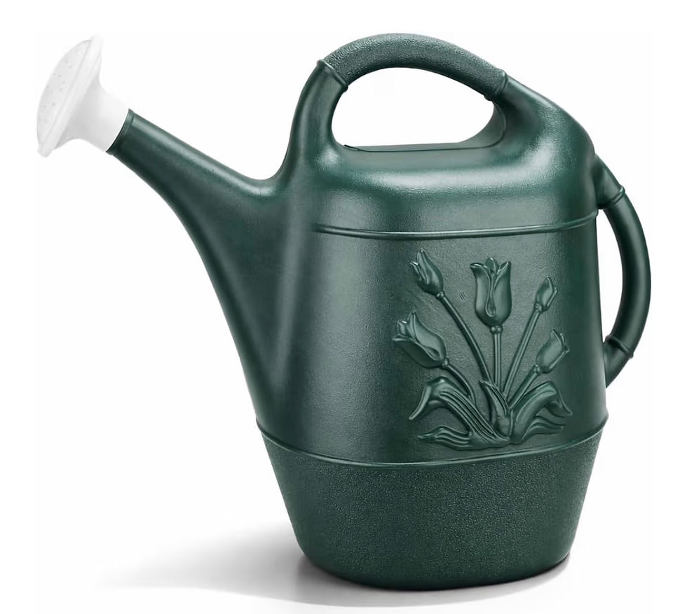 Thumbnail: PMU 2 Gallon Watering Can - Garden Watering Can for Indoor & Outdoor Plants - Pl