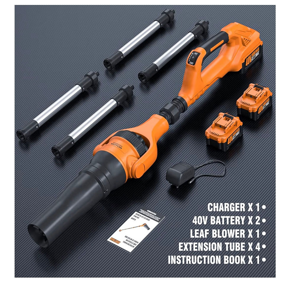 Thumbnail: Roof Gutter Cleaning from The Ground, 40V Leaf Blowers Cordless, 580CFM/180MPH w