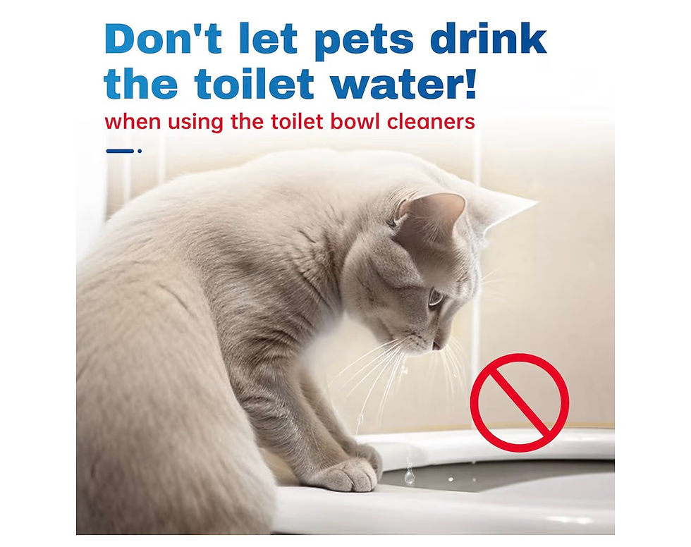 Thumbnail: Vacplus Automatic Toilet Bowl Cleaner Tablets, Bathroom Toilet Tank Cleaner (12 