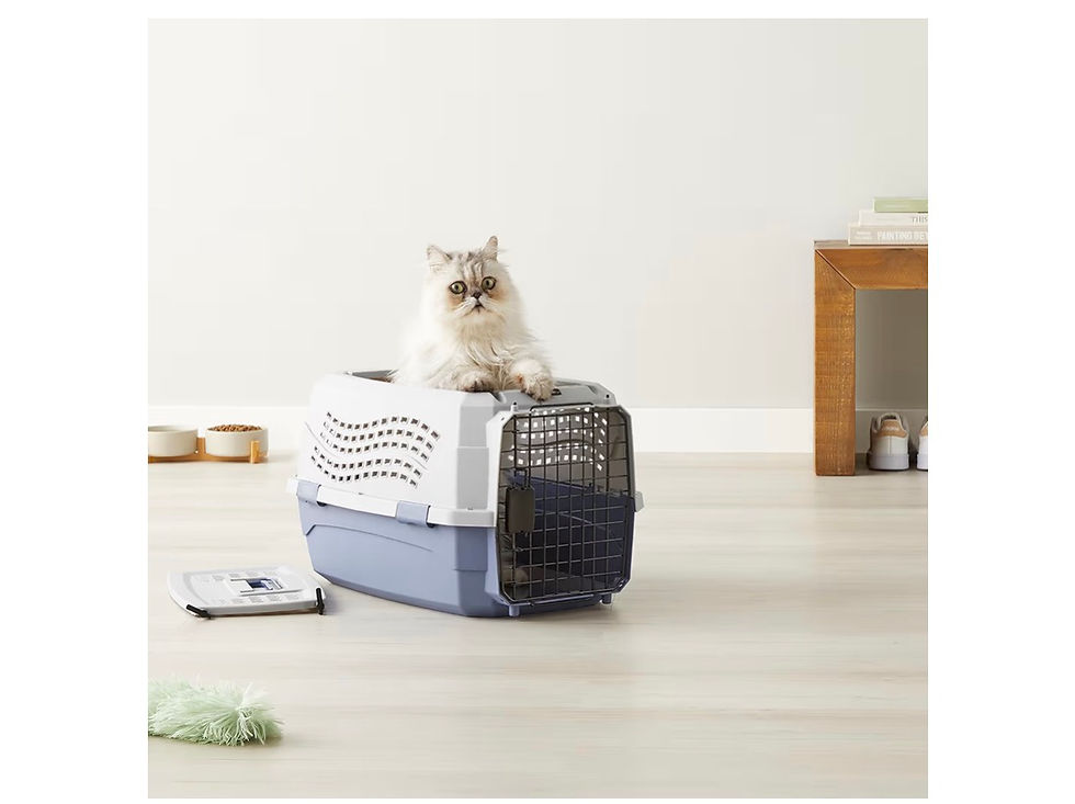 Thumbnail:  2-Door Top-Load Hard-Sided Dogs, Cats Pet Travel Carrier, Gray & Blue, 22.8"L x