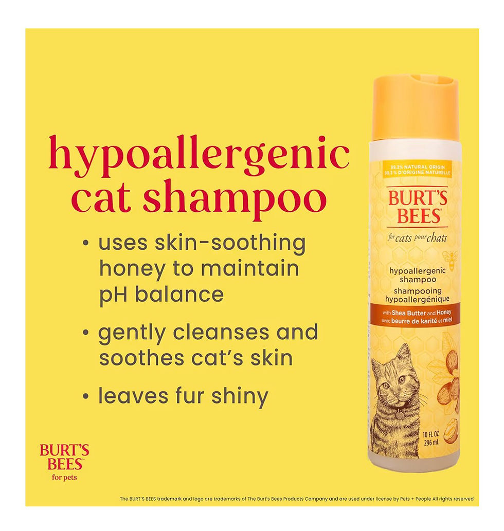 Thumbnail: Burt's Bees for Pets Hypoallergenic Cat Shampoo with Shea Butter and Honey, Gent