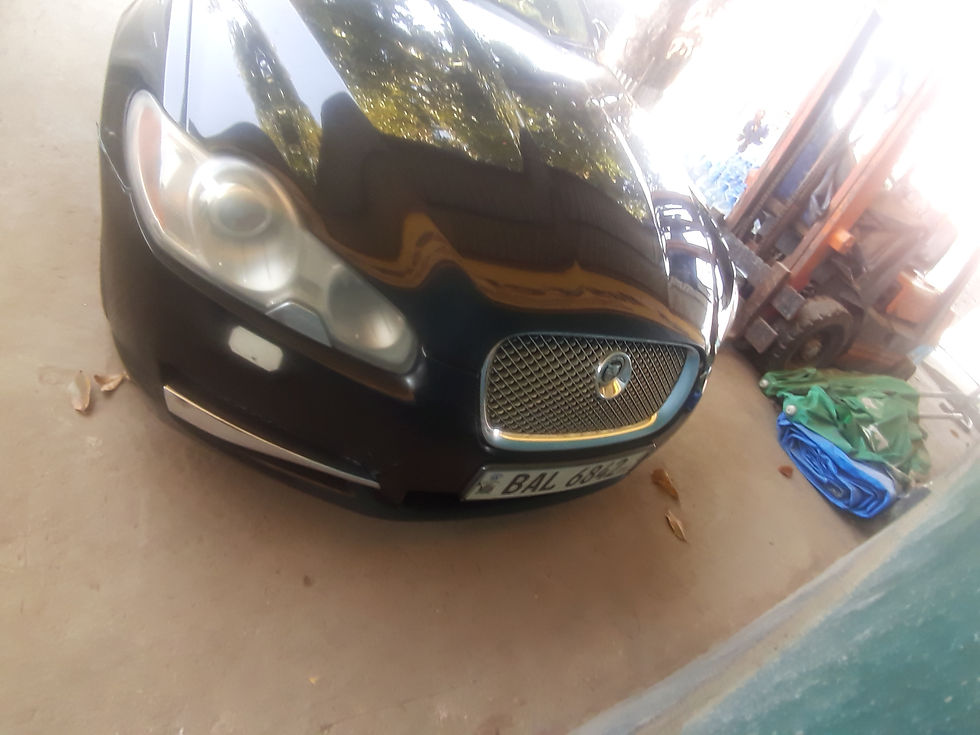 Thumbnail: Jaguar
