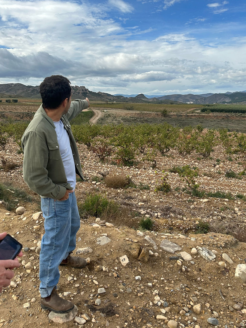 Day 1 Bardenas, Vina Zorzal, Olite (6)