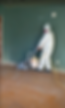 Untitled design (4).png