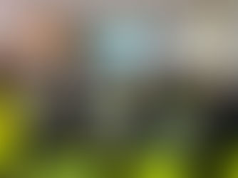 3º de ESO visita Alumán