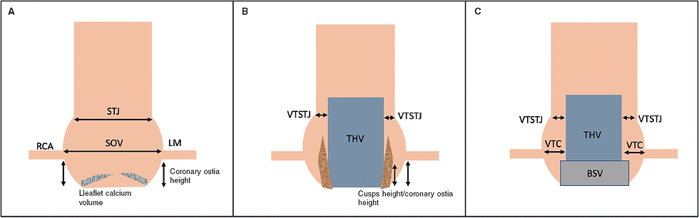 Fonte da imagem: Referência 20