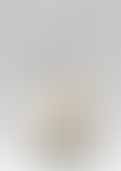 Anatomia das Próteses TAVI – VenusA-Pro