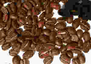 Quality Coffee Beans