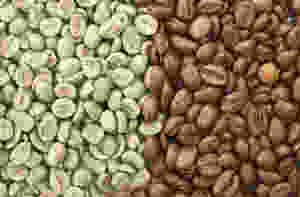 Green & Roasted Coffee Beans