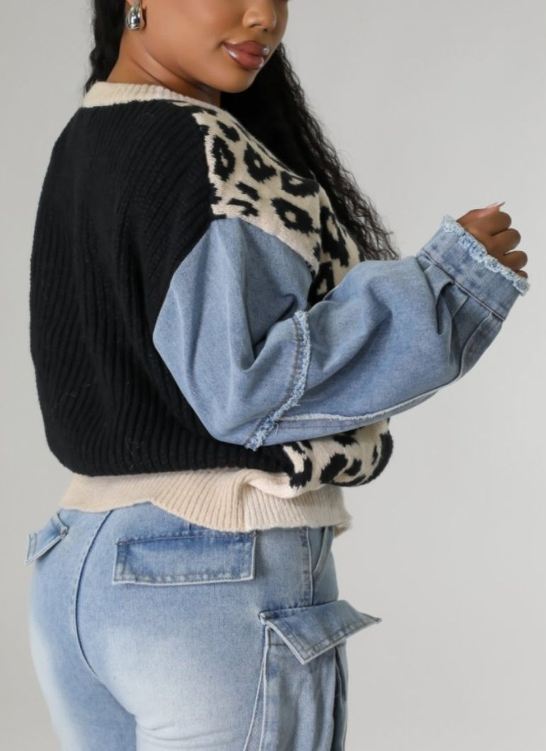 Thumbnail: Animal Print Color Block Knit Sweater