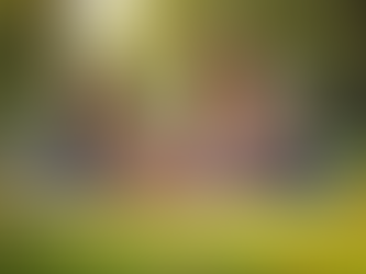 Promoting Impactful Community Support Initiatives