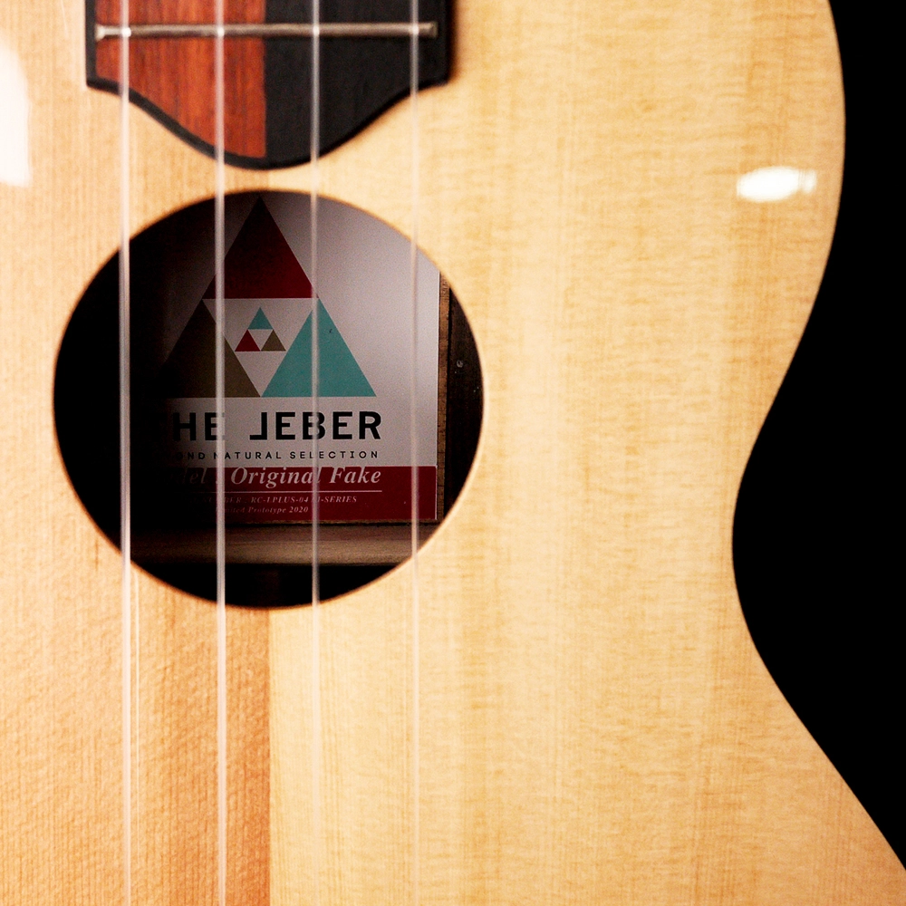 The Rebel 2015 to 2024