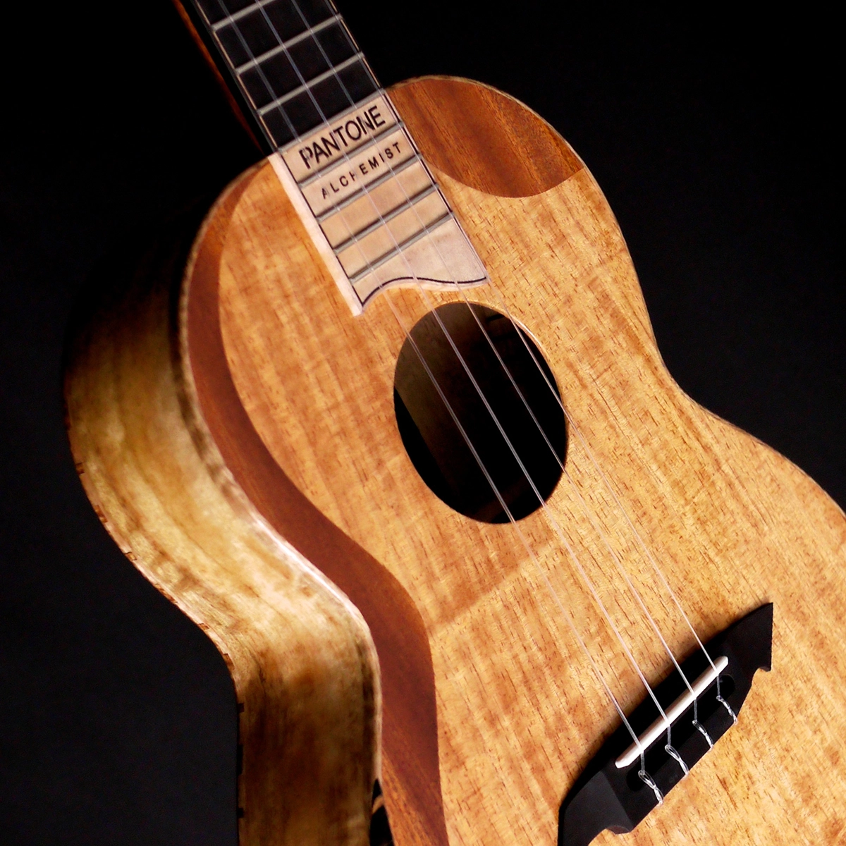 The Rebel 2015 to 2024