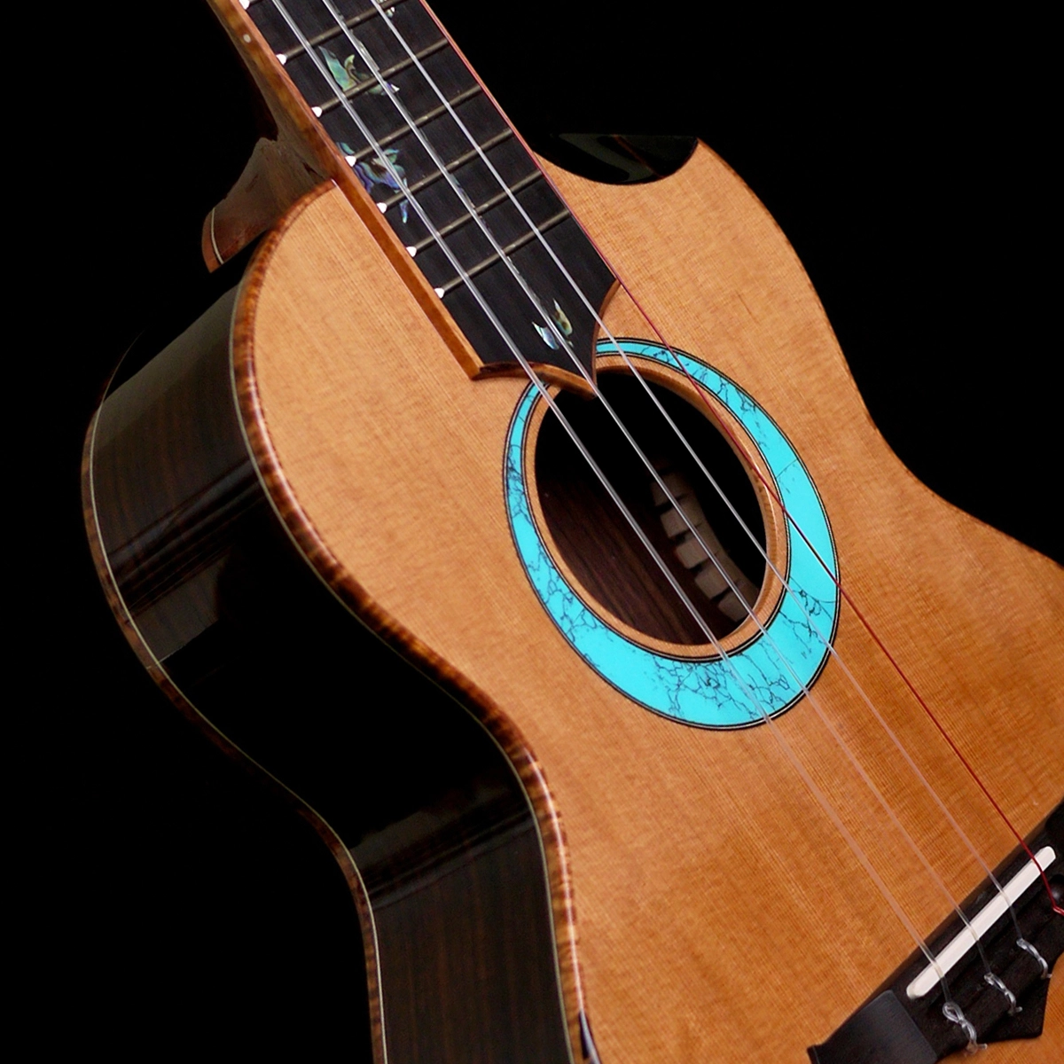 The Rebel 2015 to 2024