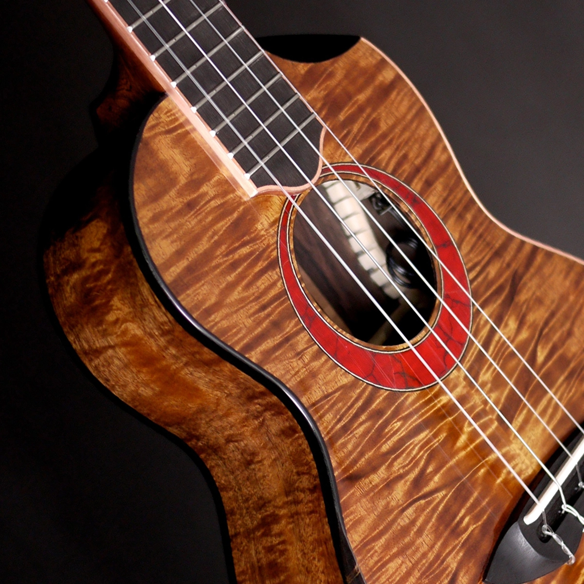 The Rebel 2015 to 2024