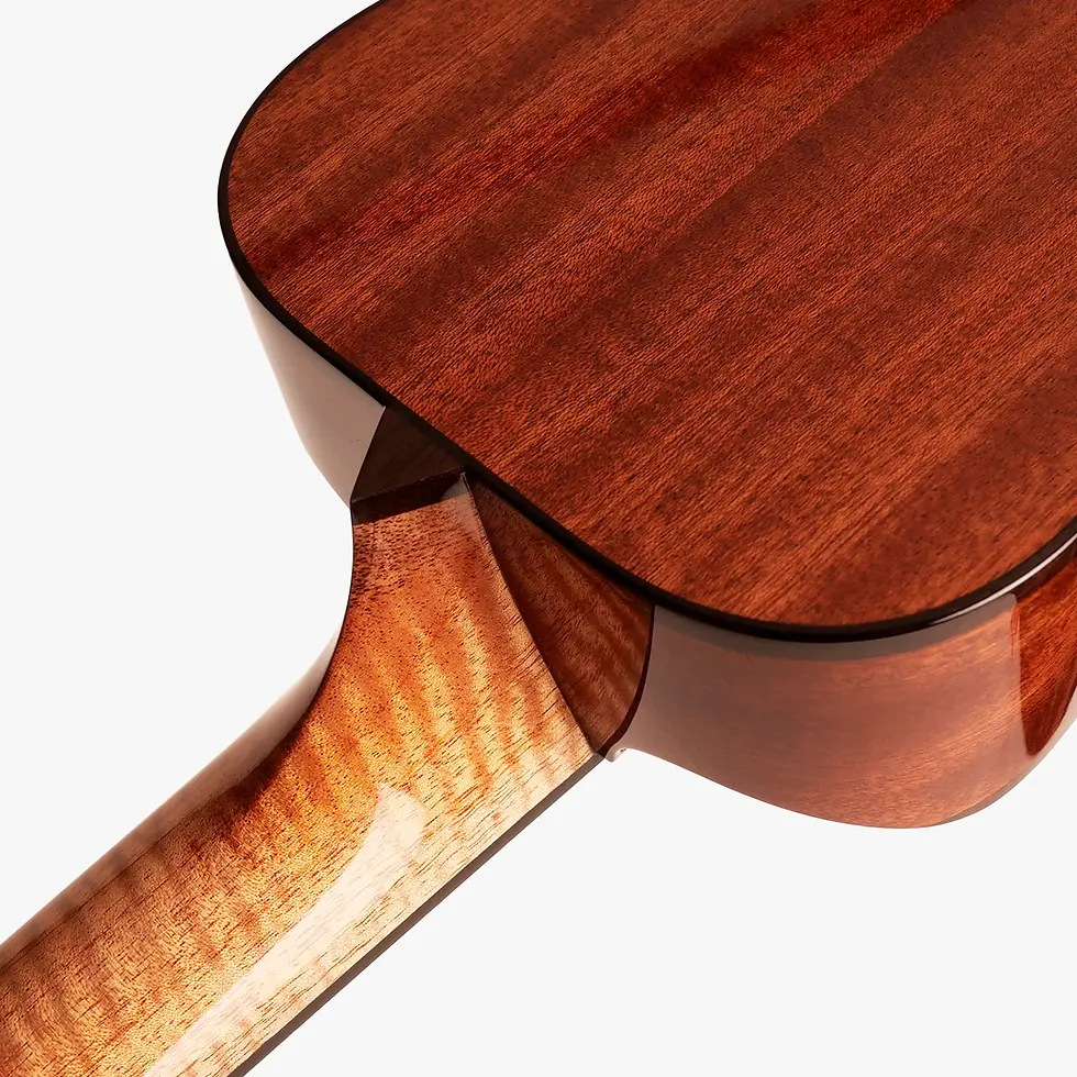 Thumbnail: Neri Concert 023 / Q Series / The Rebel Ukulele