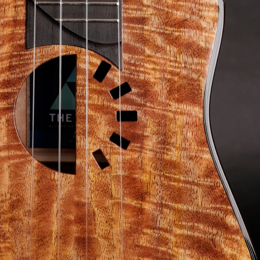 The Rebel 2015 to 2024