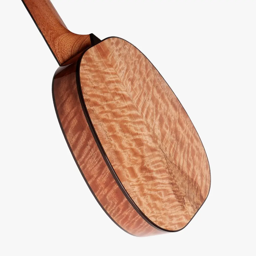 Thumbnail: Pi New Concert (2) / Q Series / The Rebel Ukulele