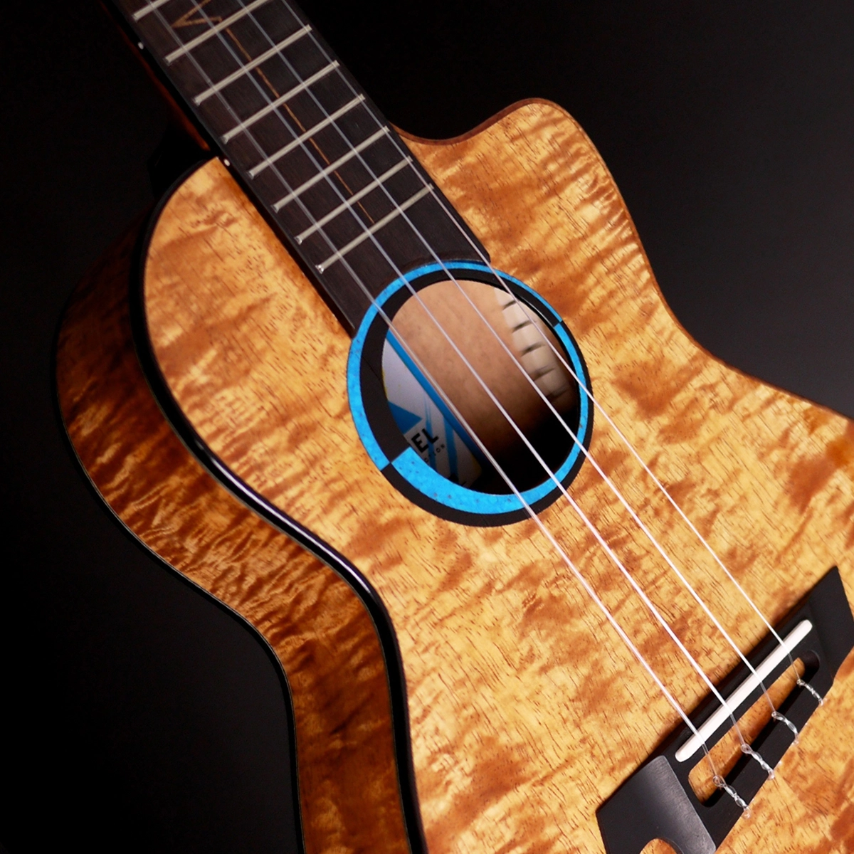 The Rebel 2015 to 2024