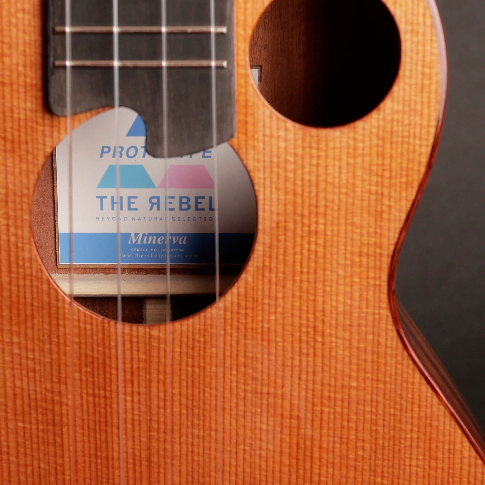 The Rebel 2015 to 2024