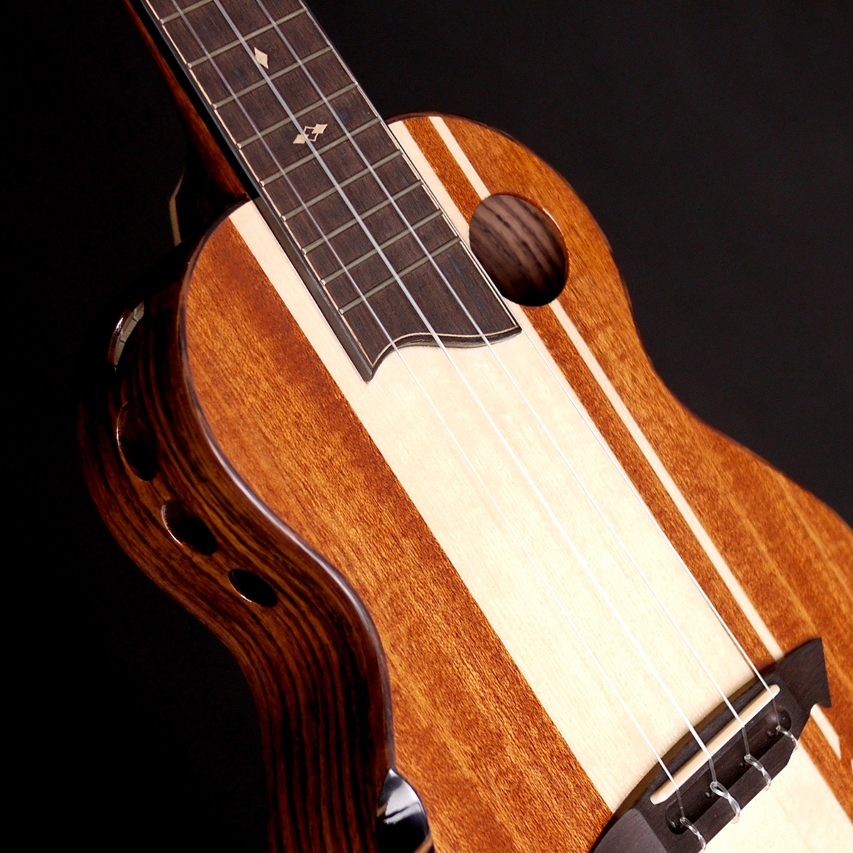 The Rebel 2015 to 2024