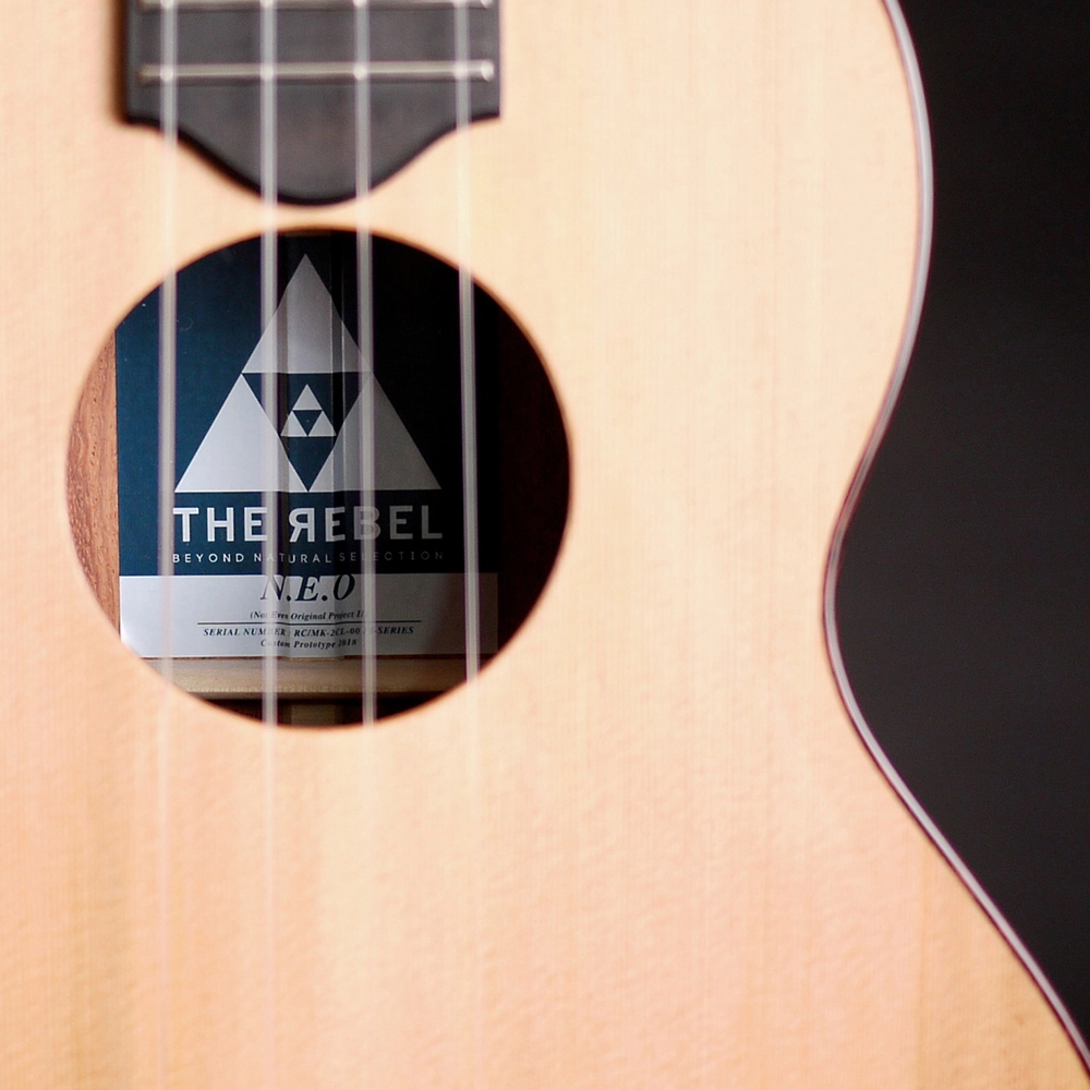 The Rebel 2015 to 2024