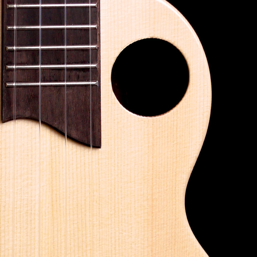 The Rebel 2015 to 2024