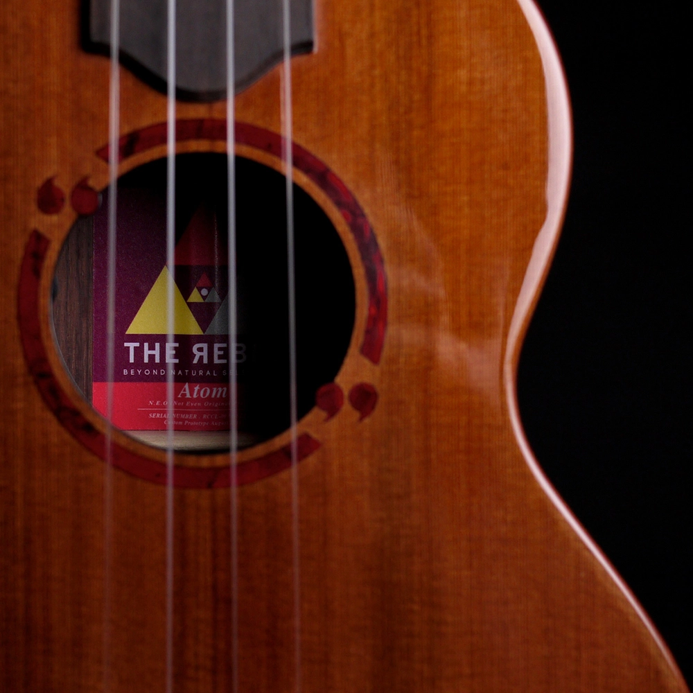 The Rebel 2015 to 2024