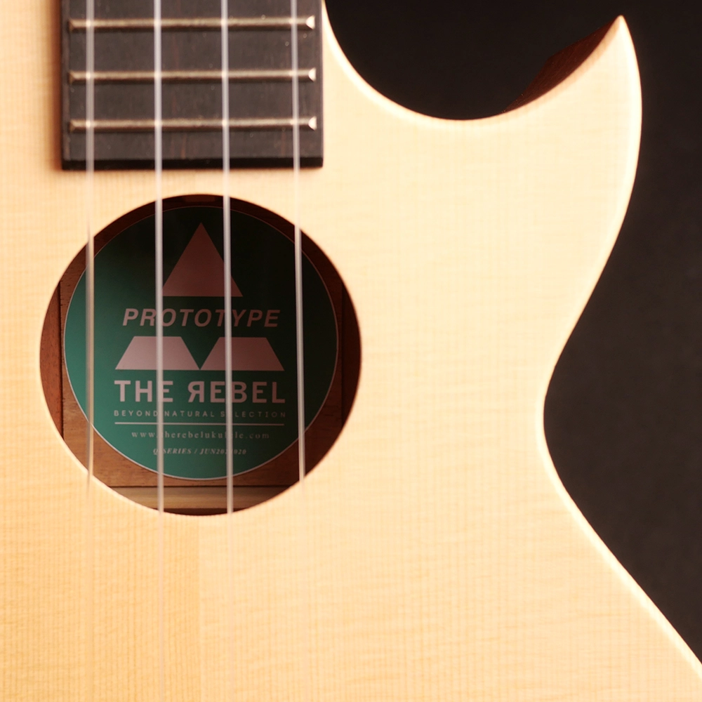 The Rebel 2015 to 2024