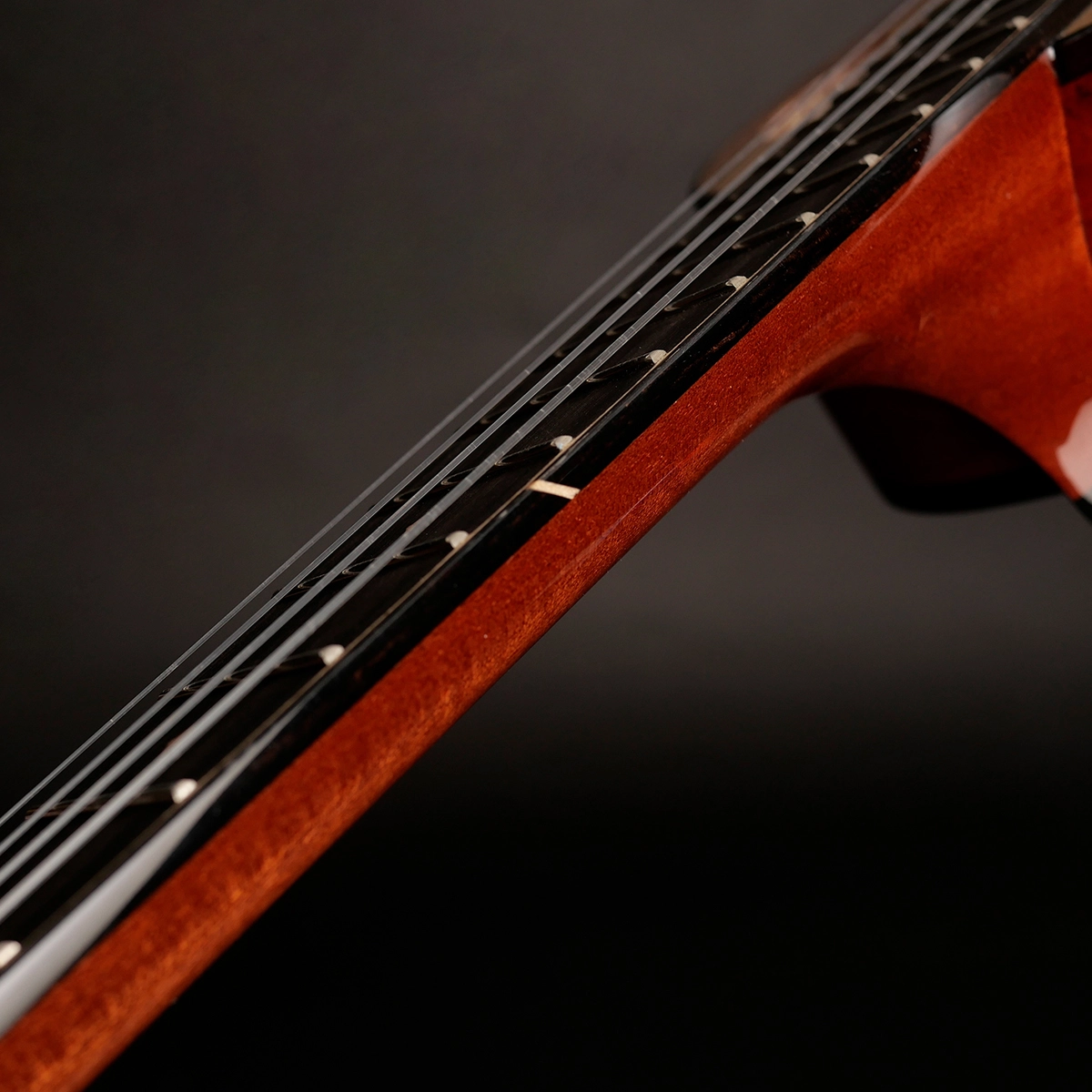 the rebel ukulele
