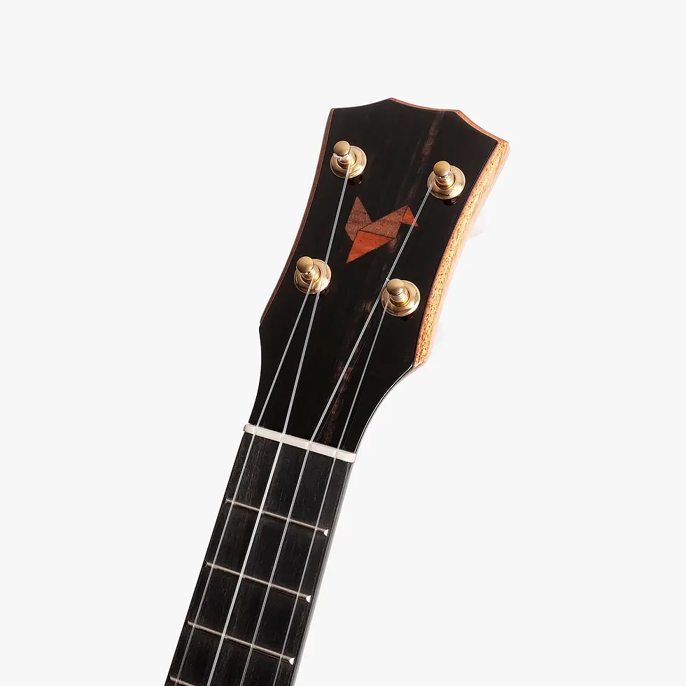 Thumbnail: Pi New Concert (2) / Q Series / The Rebel Ukulele