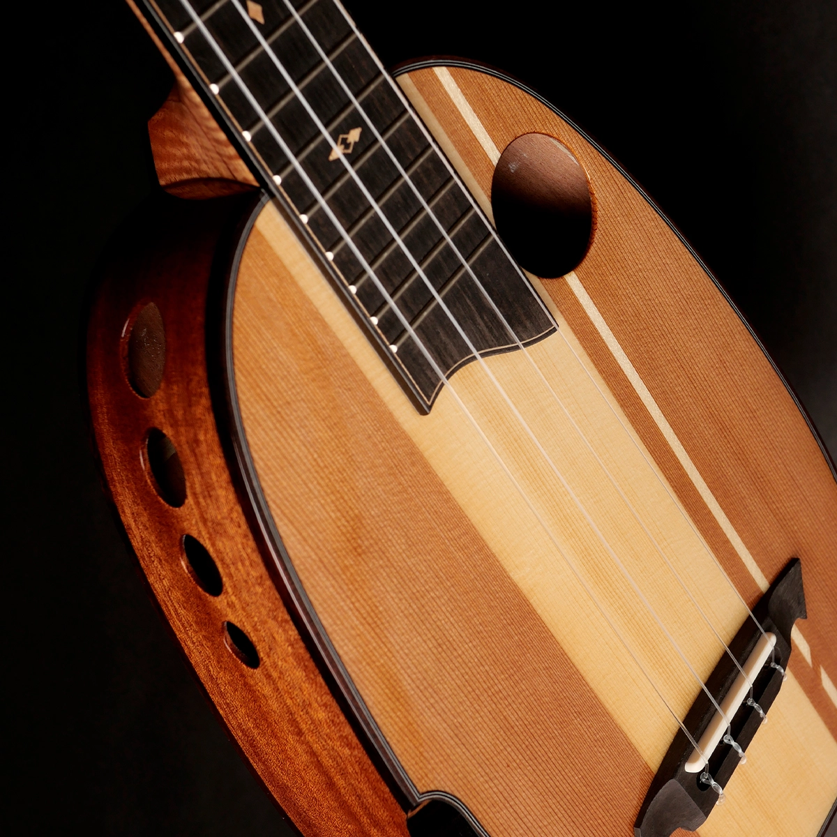 The Rebel 2015 to 2024