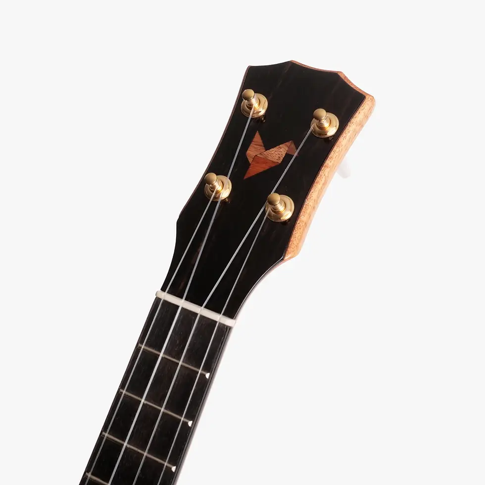 Thumbnail: Pi New Concert (3) / Q Series / The Rebel Ukulele