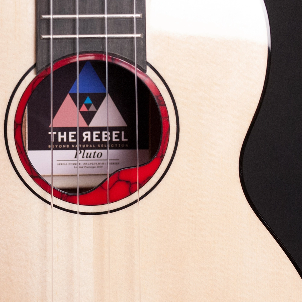 The Rebel 2015 to 2024