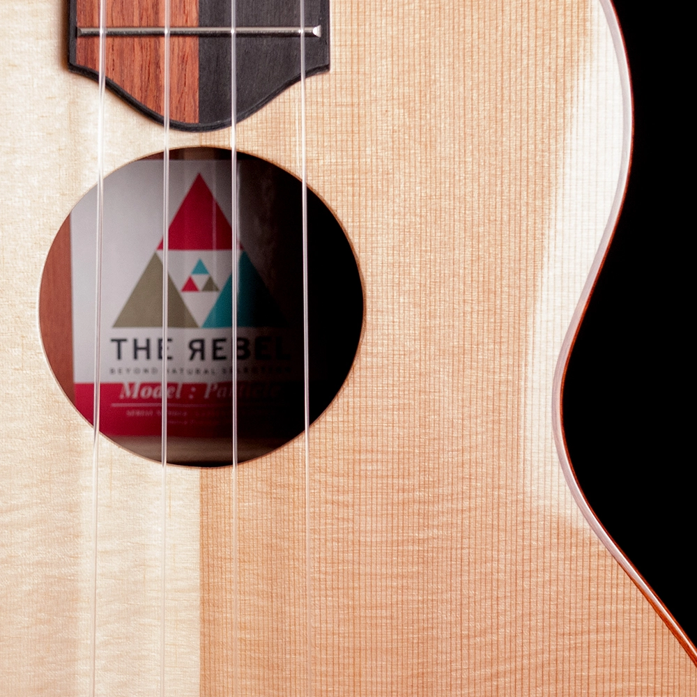 The Rebel 2015 to 2024