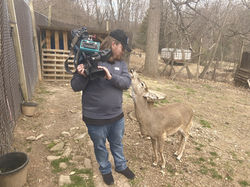 WGAL Deer_edited