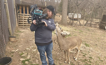 WGAL Deer_edited.jpg